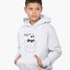 Худи детский Вся правда о медведях (We Bare Bears) 9298-2903-LG фото 2